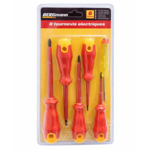 BERGMANN 6 TOURNEVIS ELECTRIQUES
